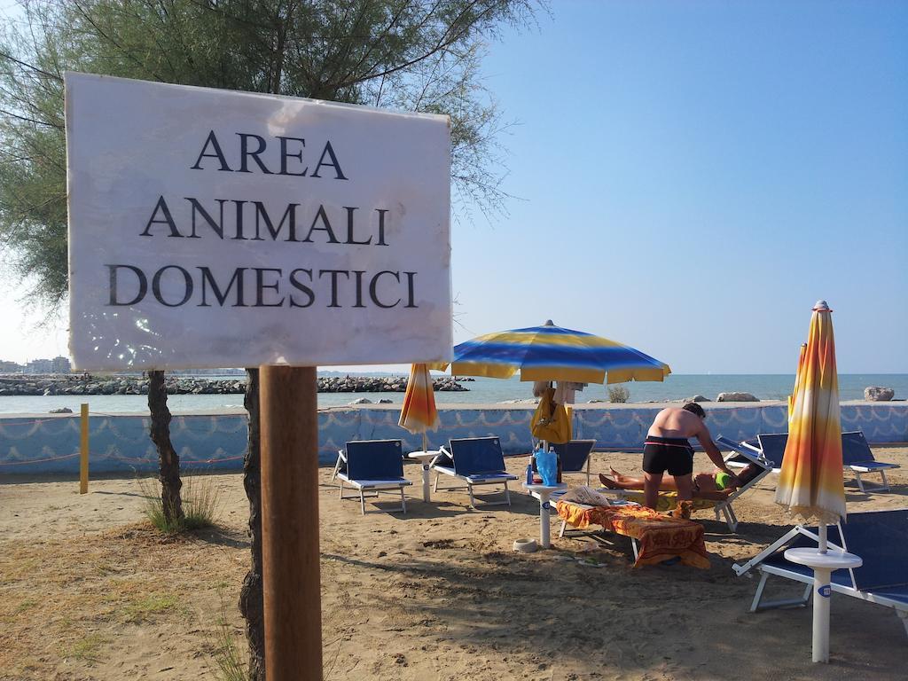 Hotel Paloma Beach Front Chiringuitos Time ريميني المظهر الخارجي الصورة